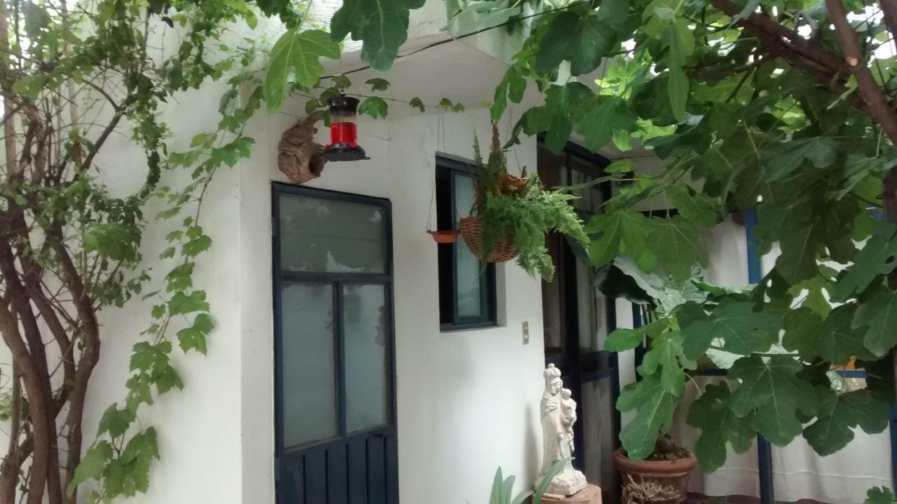 Hostal El Cascabel Cholula Exterior foto